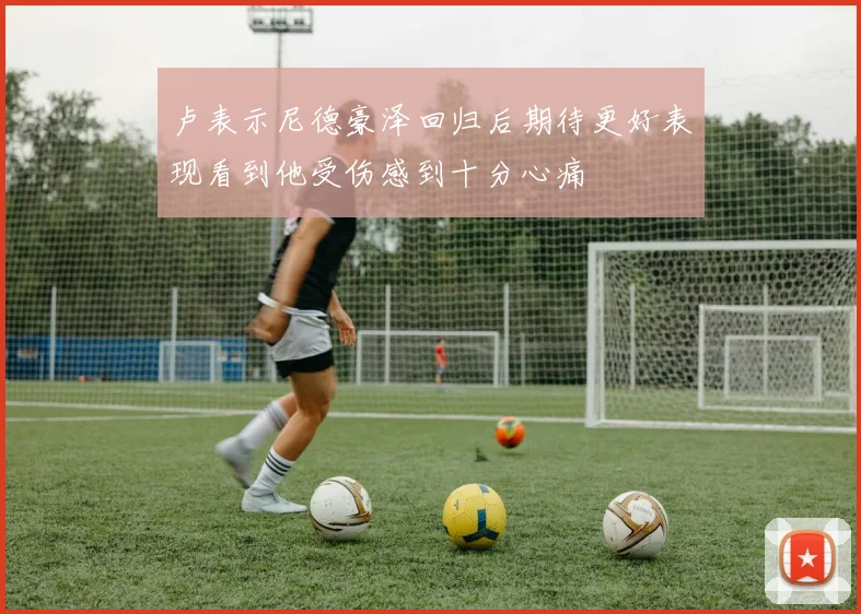 卢表示尼德豪泽回归后期待更好表现看到他受伤感到十分心痛