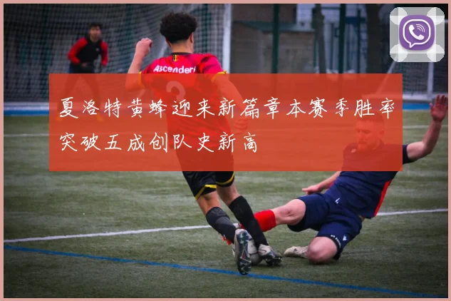 夏洛特黄蜂迎来新篇章本赛季胜率突破五成创队史新高